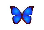 bkViewer v8.5d 免费电脑查看图片软件