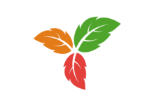 Trilium Notes v0.103.0 免费开源笔记应用程序