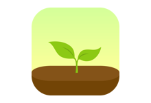 Forest 专注森林 v5.9.0 用专注创造一片森林